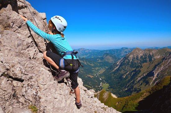 Wild About Adventure