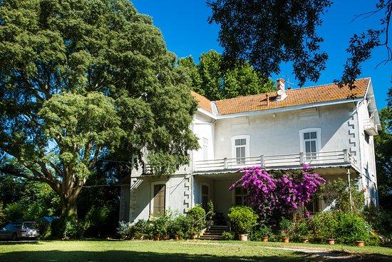 Chateau de Nages - Famille Gassier