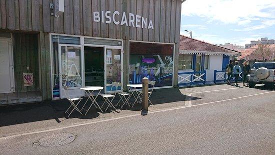 BiscArena