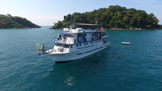 January Princess Liveaboard