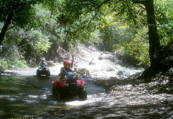Trail Boss ATV Tours