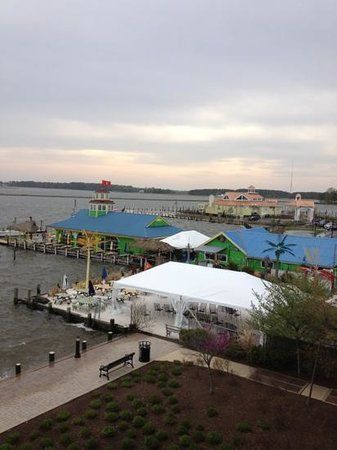 The Jetty Restaurant and Dock Bar