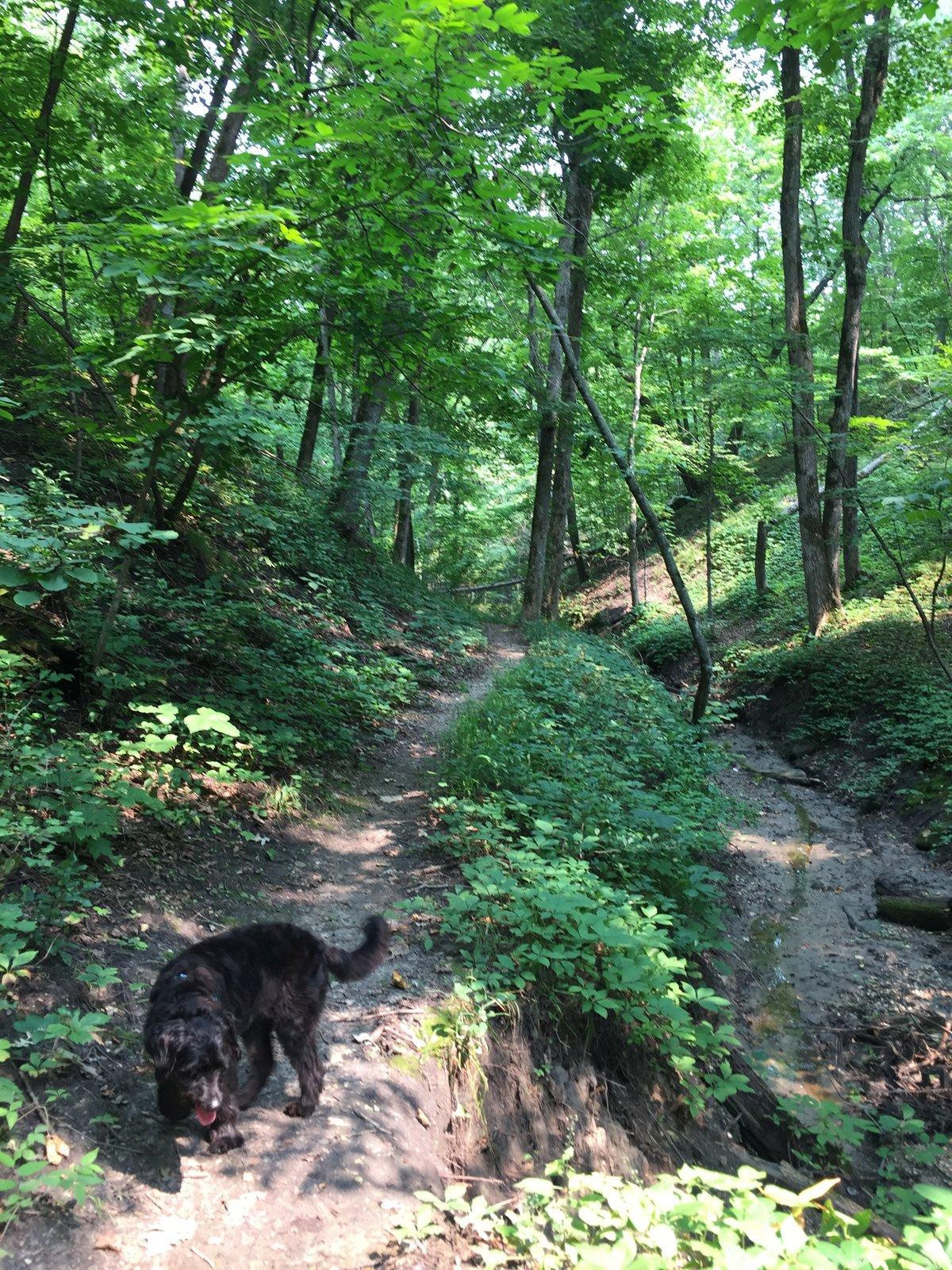 Ambrose A Call State Park
