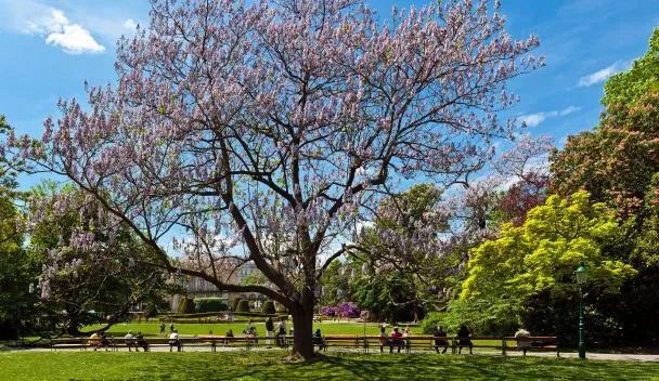 Parque da Cidade