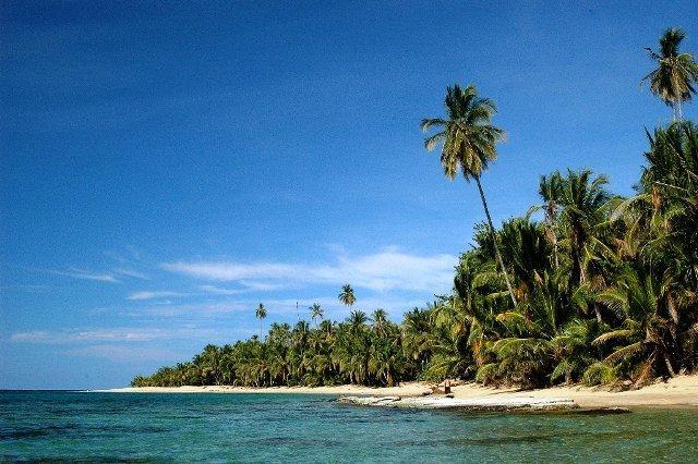 Playa Punta Uva