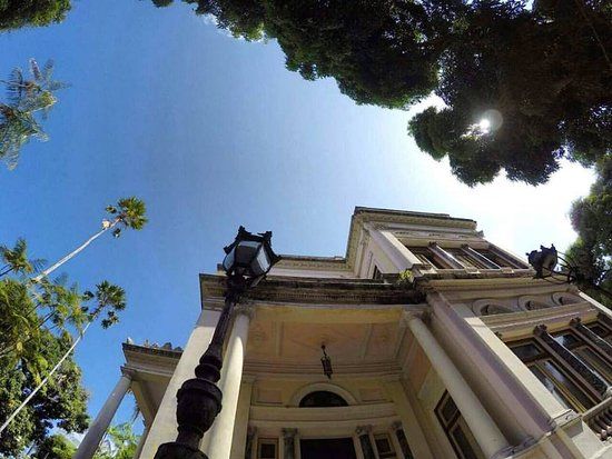 Federal University of Para Museum