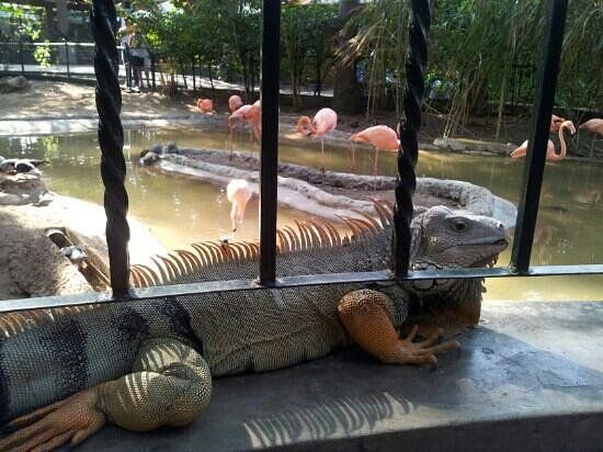 MAMB - Museo de Arte Moderno de Barranquilla