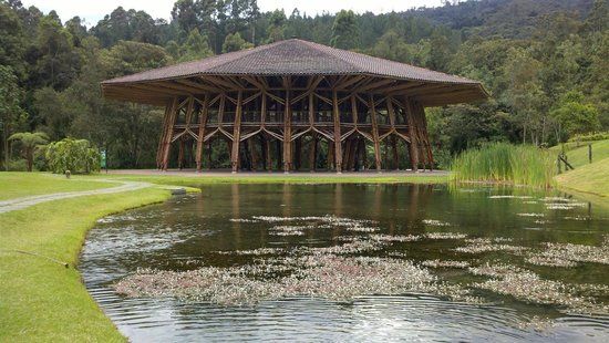 Recinto Del Pensamiento