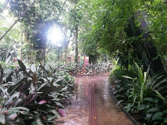 Orquidario Municipal de Santos