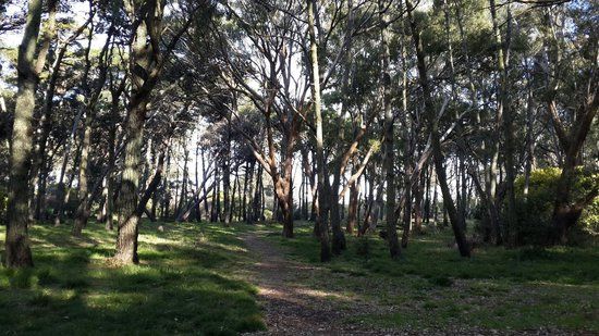 el Parque Municipal Vivero Cosme Argerich