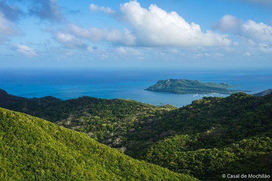 The Peak Forestry Reserve