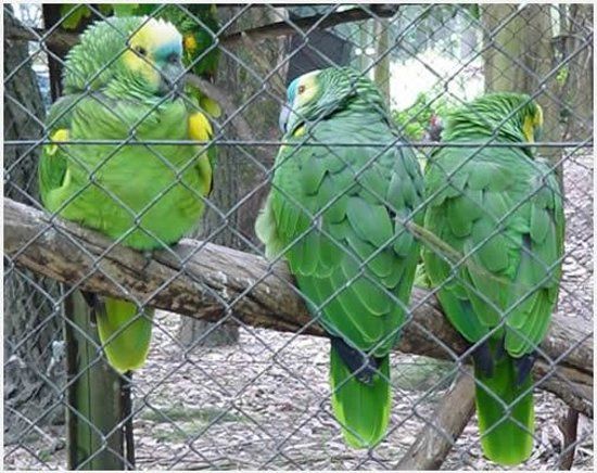 el Zoo Concordia