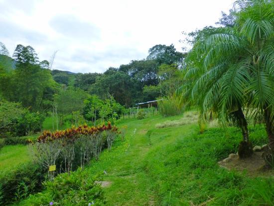 Jardín Botánico San Jorge