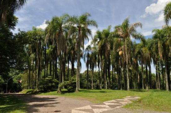 Parque das Palmeiras