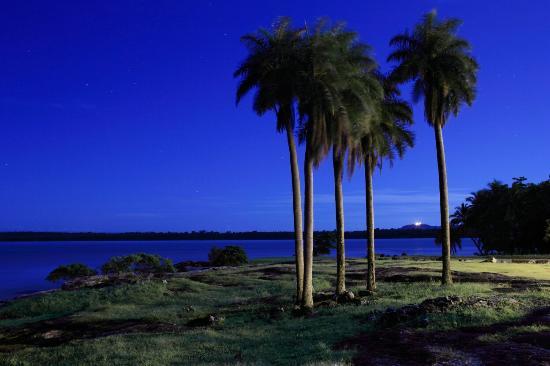 Kourou