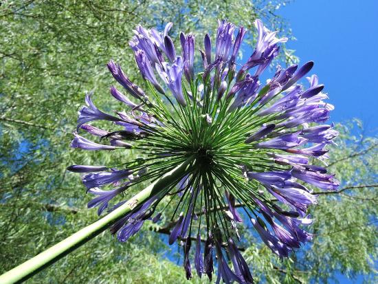 Botanical Garden of Lajeado