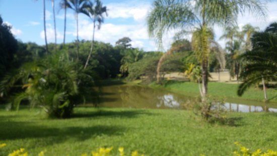 Botanical Gardens Municipal Paulinia Adelmo Piva Junior