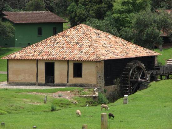 Museu do Mate