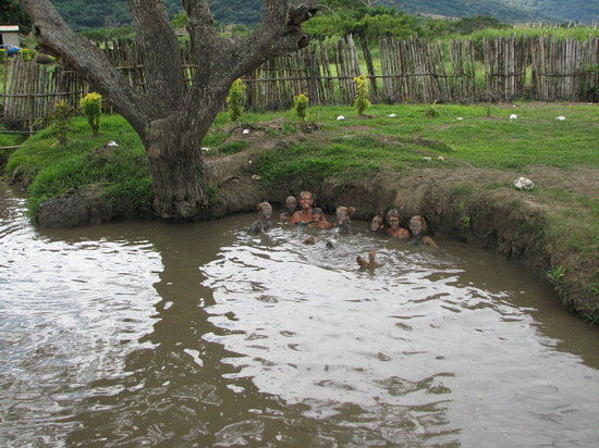 Sabeto Hot Springs and Mud Pool
