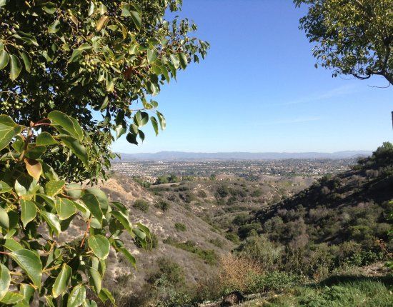 Aliso and Wood Canyons Wilderness Park
