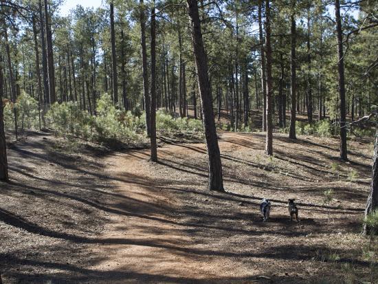 Fox Run Regional Park