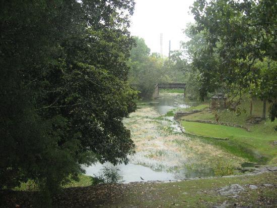 Crawfish Spring