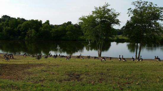 Olive Branch City Park