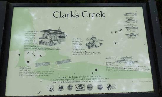 Puyallup Fish Hatchery