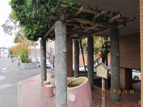 Longevity Hand & Foot Bath