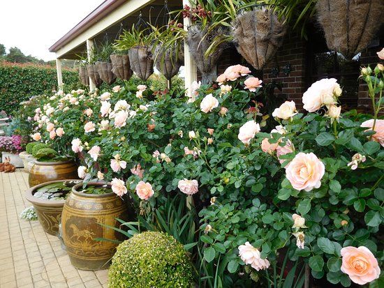 Gardenalia Open Garden