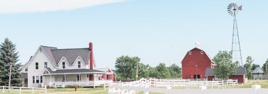 The Petting Farm at Domino's Farms