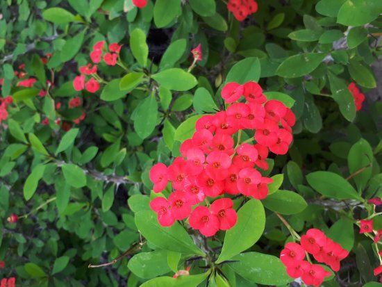 Botanischer Garten Chemnitz