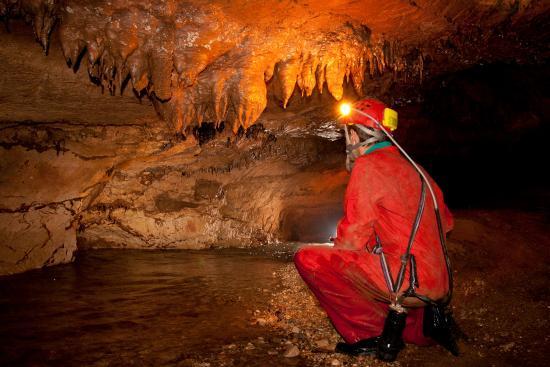 Soprador do Carvalho