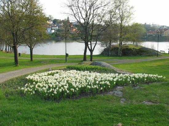 Nesparken, Moss