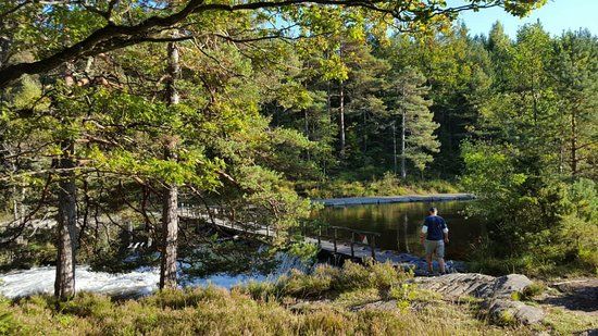 Kalvehageneset Recreation Ground