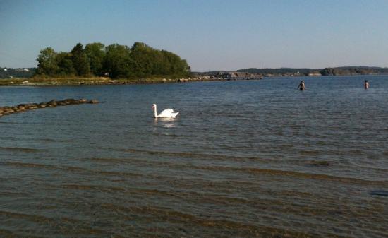 Som Forest Conservation Area