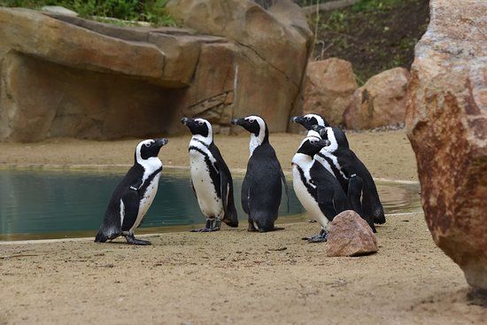ZOO Ústí nad Labem
