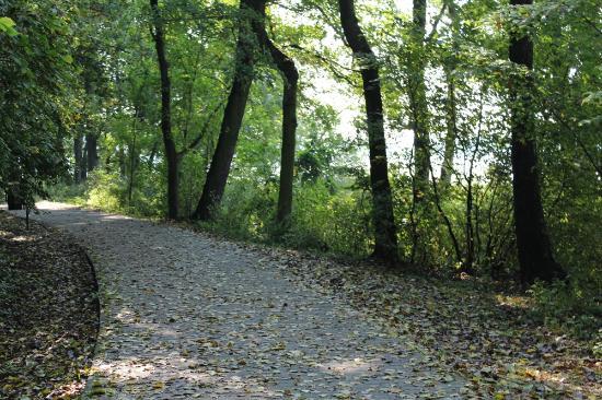 Swarzędzkie Lake