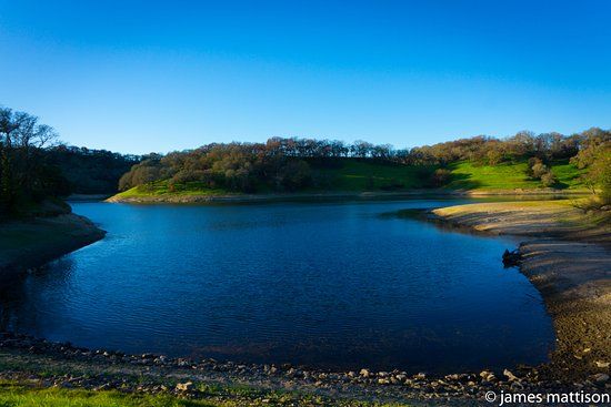 Lake Suttonfield