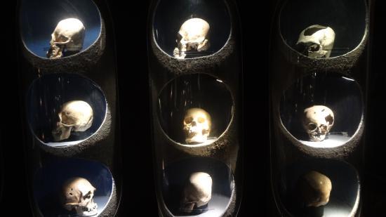 Durango Museum of Archeology Ganot-Peschard