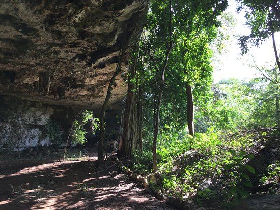 Xkopek Parque Apicola