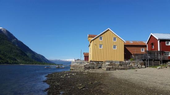 Vefsn museum