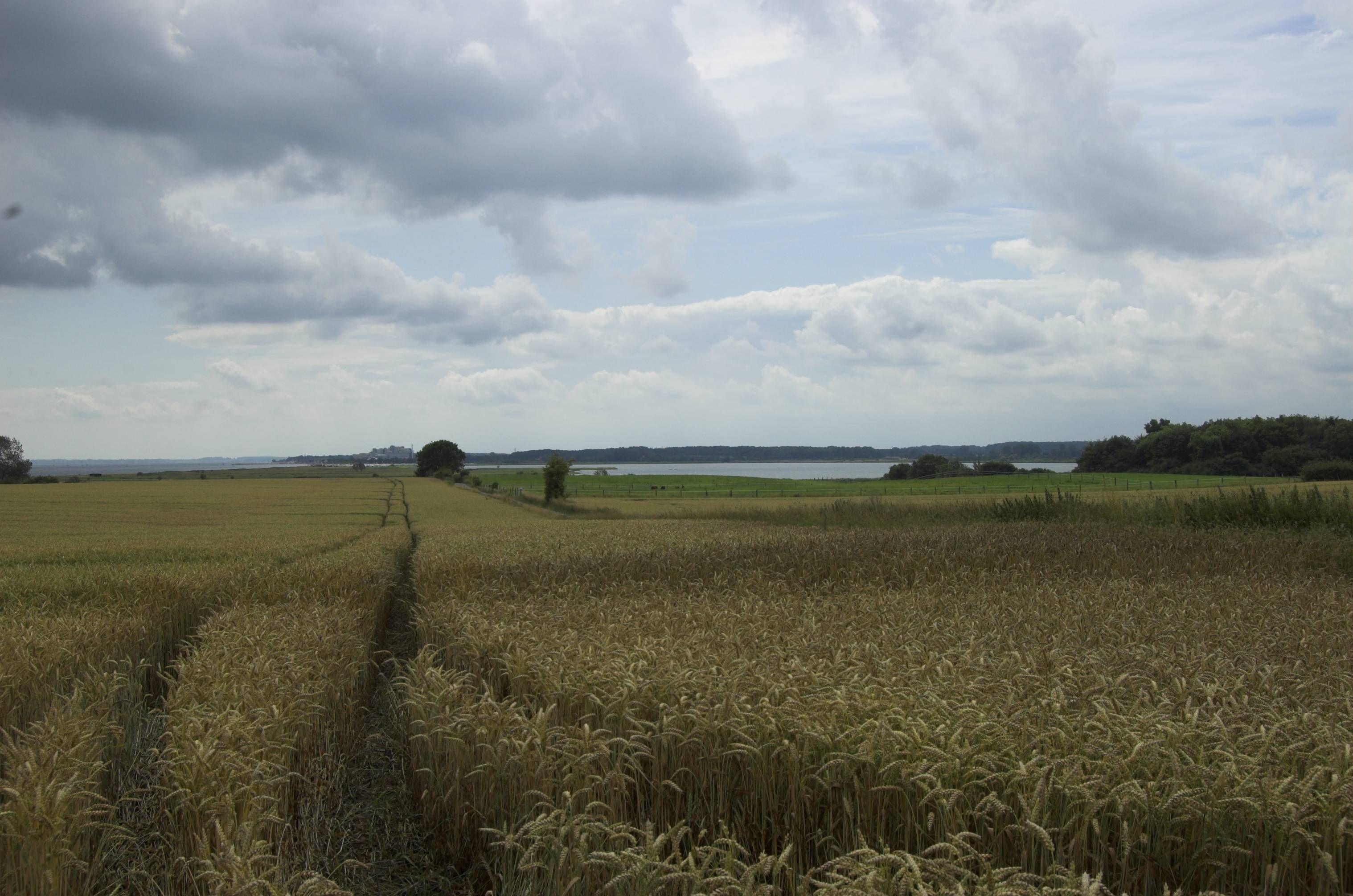 Svans Sø