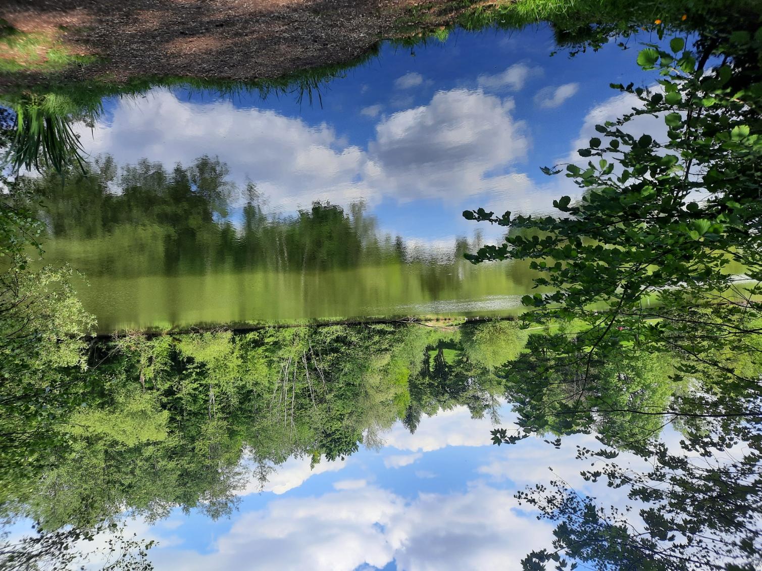 Bürgerseen