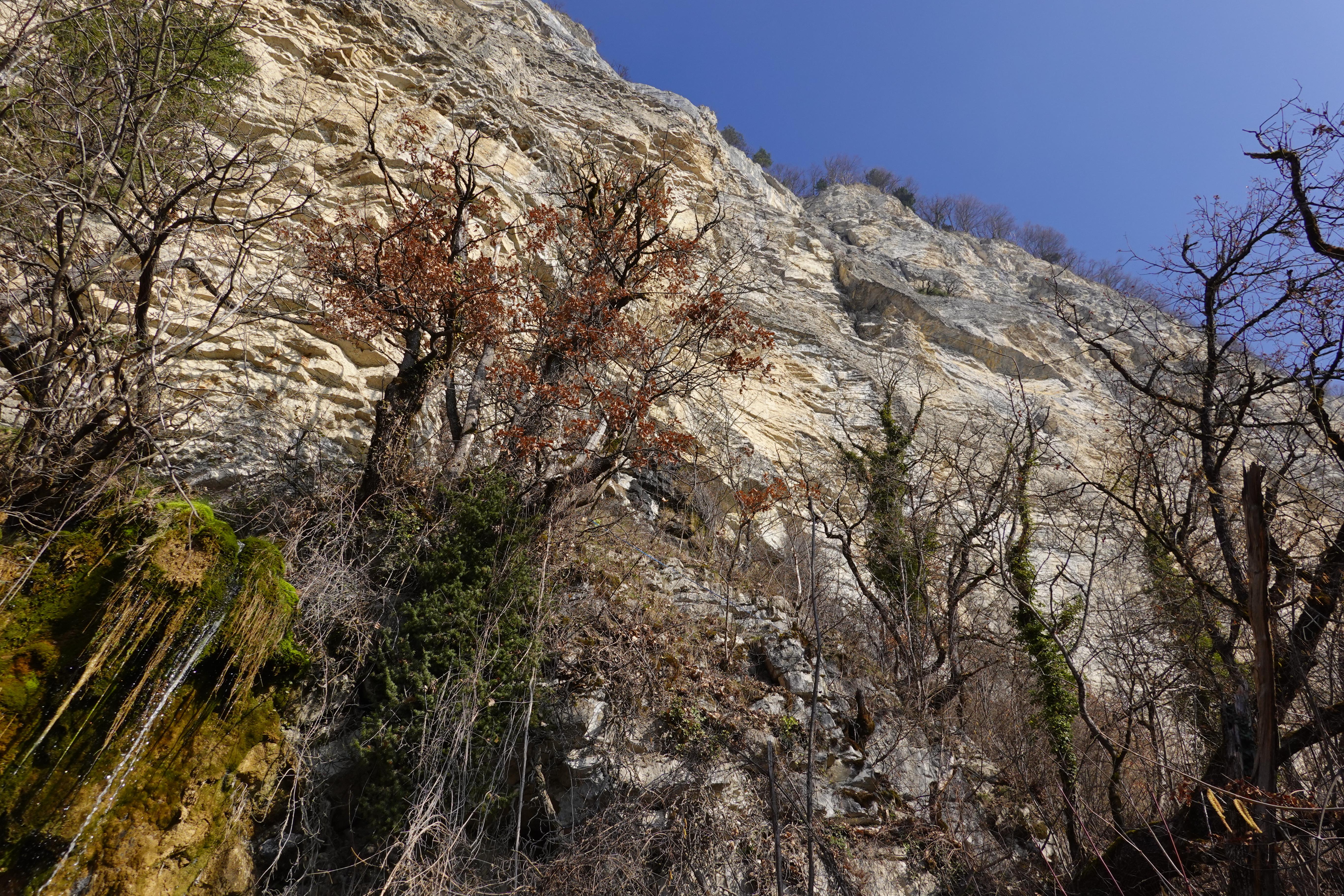 Cascade du Dard
