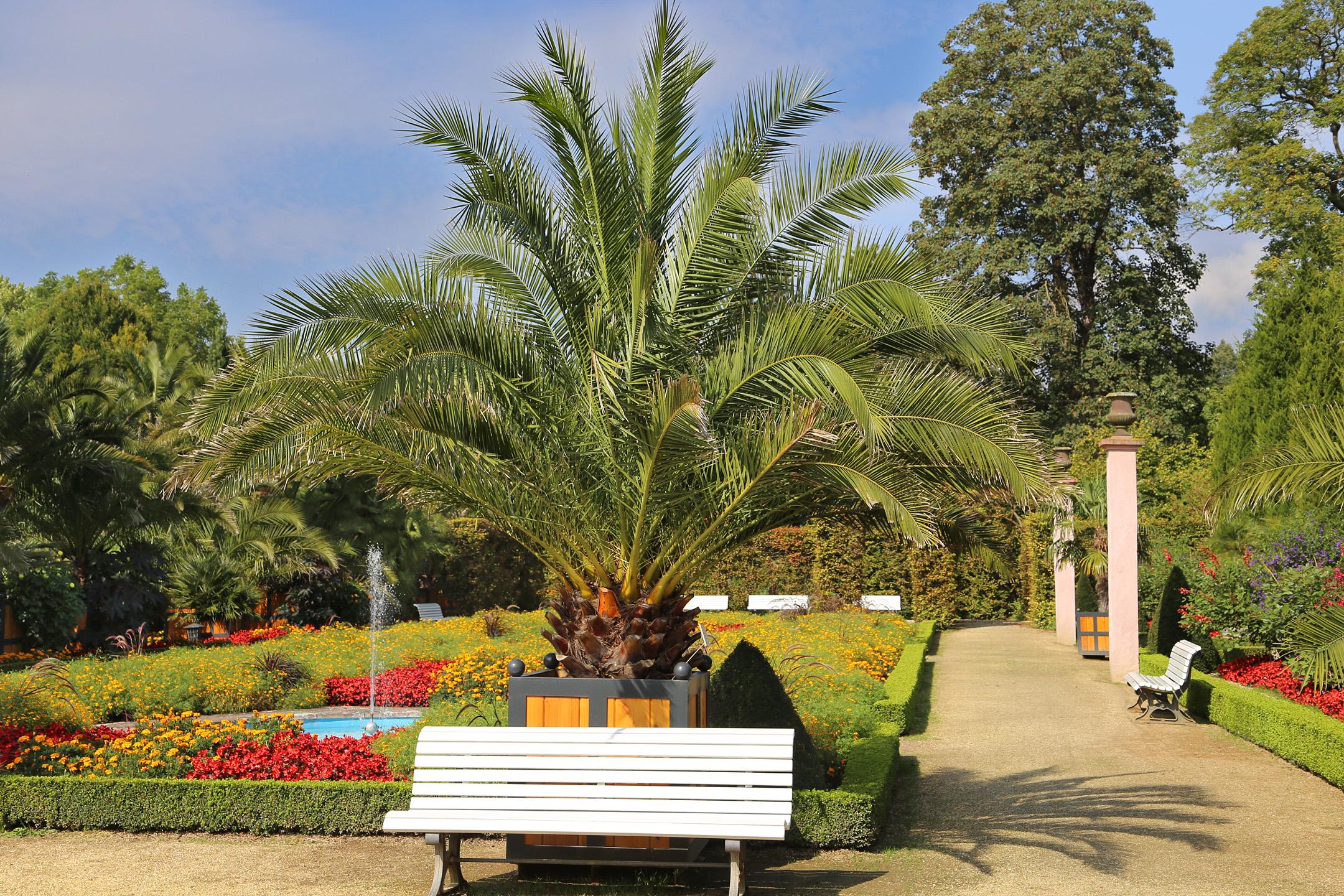 Palmengarten Bad Pyrmont