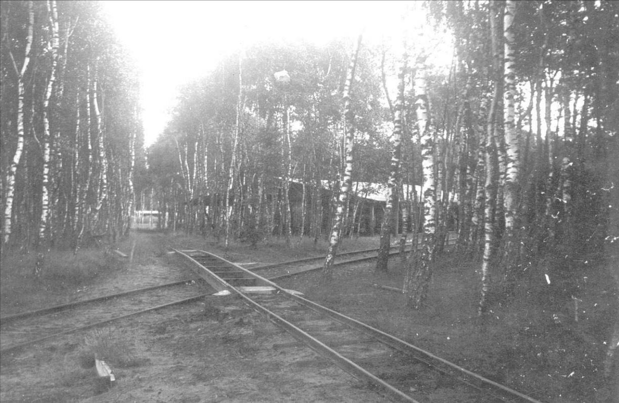 Bad Bramstedter Moorbahn