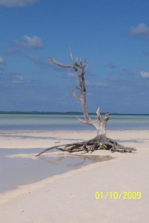 Briland's Blue Hole