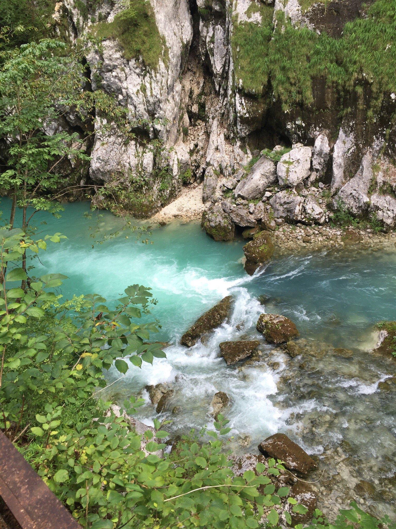 Foresta Regionale del Prescudin