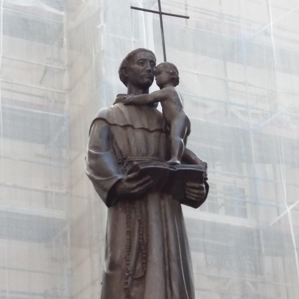 Oliveira Milenar